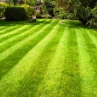 Custom Creations Landscapes & lawncare