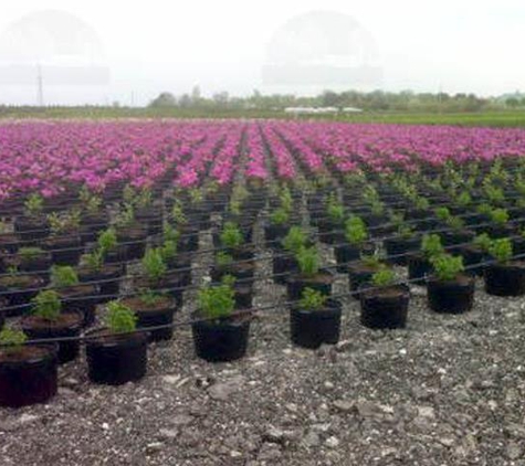 Walnut Creek Nursery - Marengo, IL