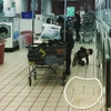 Willow Creek Laundromat gallery