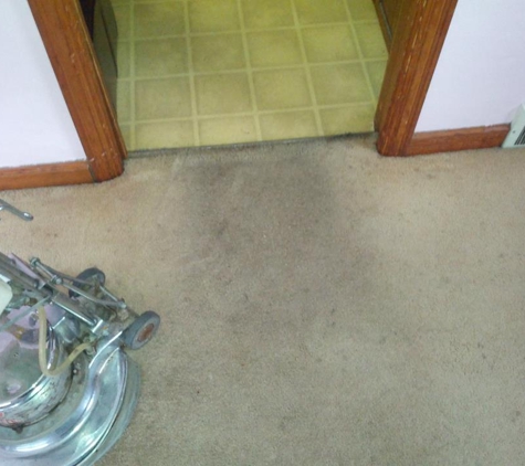 Dolan's Deluxe Carpet Cleaning - Saint Paul, MN