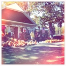 Wemrock Orchards, Inc - Orchards
