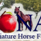 Iona Miniature Horse Farm