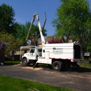 Crown Tree Care Inc - Tree Service