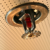 Gallery Image Number 5