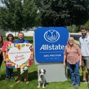 The Preston Insurance Group: Allstate Insurance - Insurance Consultants & Analysts
