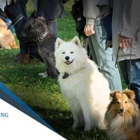 Dog Training Elite Milwaukee