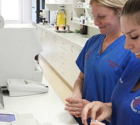 Howard Springs Veterinary Clinic - Howard Springs, NT