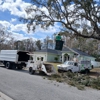 K&T TREE SERVICE gallery