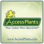 Access Plants