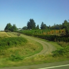 Mountainside Cemetery