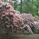 Tyler Arboretum - Arboretums