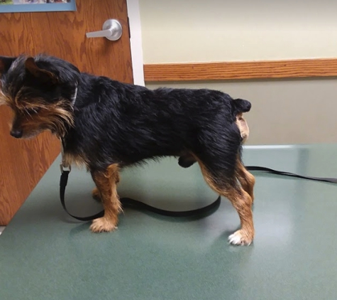 Mill Creek Animal Hospital - Shawnee, KS