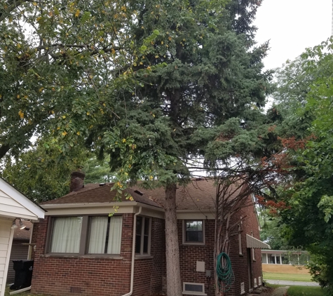 E & J Tree Service - Lincoln Park, MI