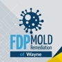 FDP Mold Remediation of Wayne