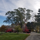 Crawford Tree and Landscape Services Inc - Tree Service