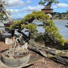 Elandan Gardens Ltd