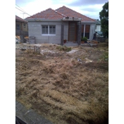 Gallery Image Number 6