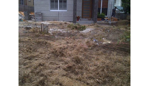 Sammut Turf Supplies - Freemans Reach, NSW