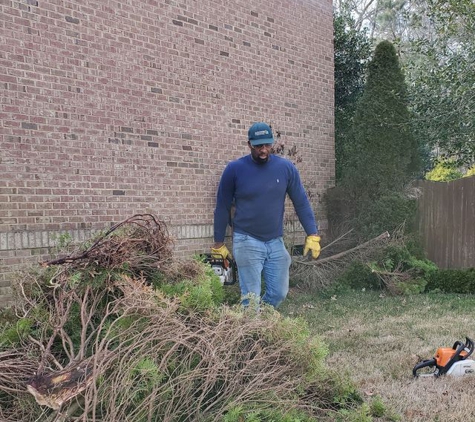 AJ's Tree Removal - Virginia Beach, VA