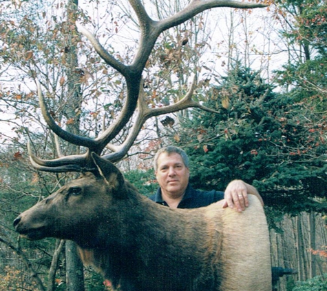 Klaus Kurt Taxidermist - Douglassville, PA