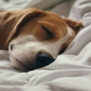 Candlewood Suites Oakwood by IHG - Hotels