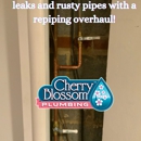 Cherry Blossom Plumbing - Water Heater Repair