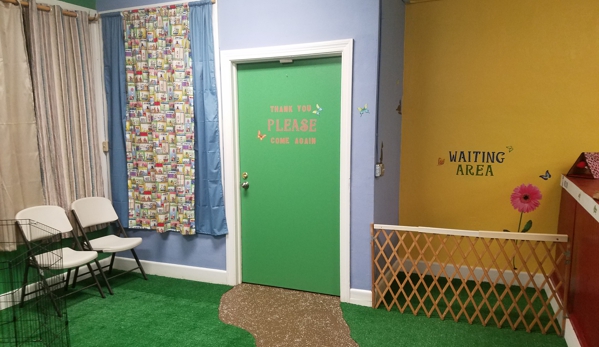 JT'S PLAYFUL PET SPA-SALON - Norfolk, VA