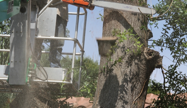 Greenwise Tree Surgeons - Jacksonville, FL