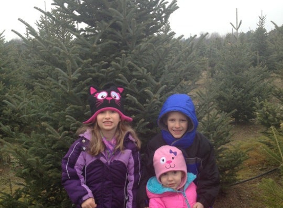 Candy Cane Christmas Tree Farm - Oxford, MI