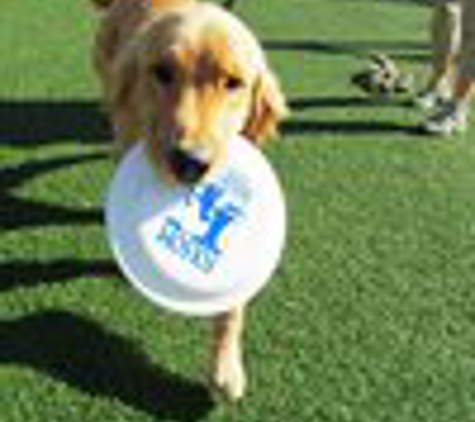 Folsom Dog Resort & Training Center - Folsom, CA