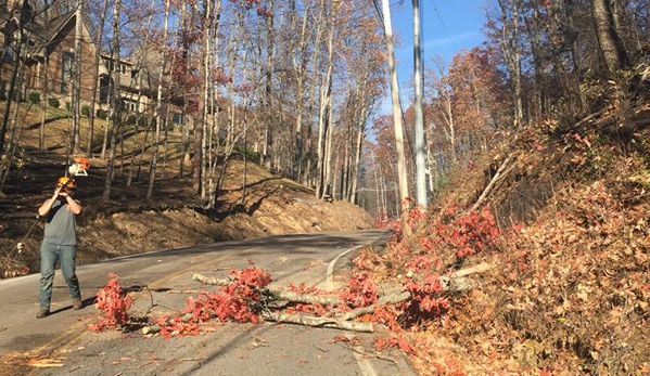 Crazy Irish Tree Service - Sevierville, TN