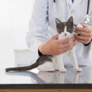 Moreno Valley Animal Hospital - Veterinarians