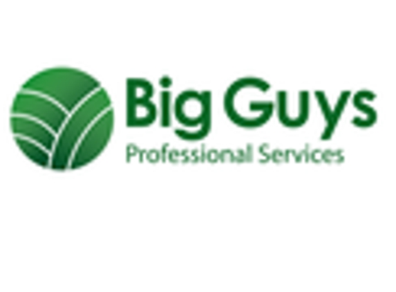 Big Guys Professional Services