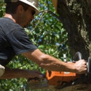 Spotswood's Tree Service - Stump Removal & Grinding