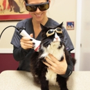 Annapolis Cat Hospital - Veterinarians
