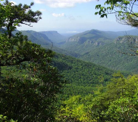 Blue Ridge Mosquito Control - Charlotte, NC