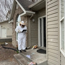 Insight Pest Solutions - Pest Control Services