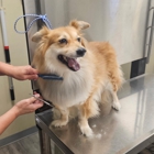 VCA Lake Jackson Animal Hospital