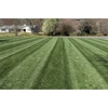 Quick Trim Lawn And Snow Removal Service gallery
