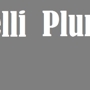 Angelelli Plumbing