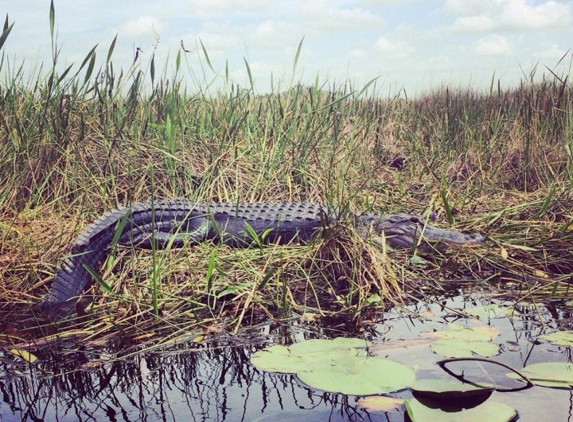 Loxahatchee National Wildlife - Boynton Beach, FL