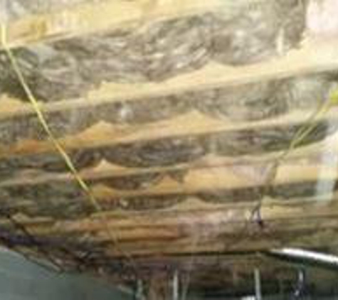 Bluegrass Crawlspace Restoration - Versailles, KY