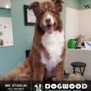 Dogwood Grooming Spa - Pet Grooming