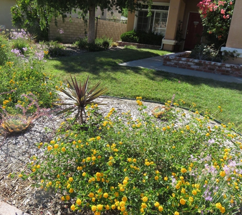 Medina's Landscaping - Newhall, CA. Drought-tolerant plants are a wise Southern California choice.