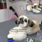 Trendy Wendy Pets Mobile Grooming