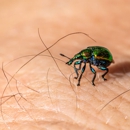 Greer's CashSaver - Pest Control Equipment & Supplies