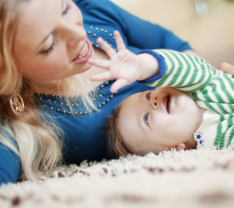 Spainy's Carpet & Pest Services - Gowrie Junction, QLD