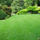 Beck Lawn Care - Gardeners