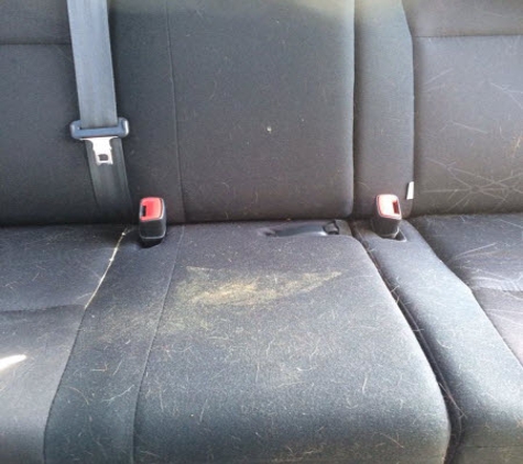 A1 Carpet & Upholstery Specialists - West Launceston, TAS
