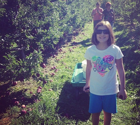 Stonehill Orchard - North Collins, NY